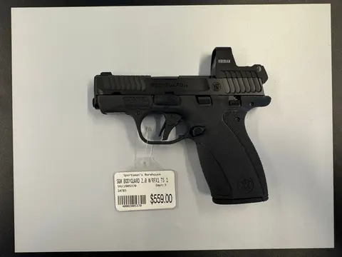 S&W M&P Bodyguard 2.0 W/RFX1 TS